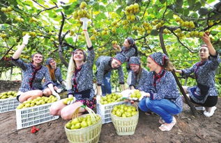 从田间到餐桌 解读初级农产品背后的故事