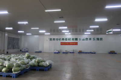 龙头企业引领，搭乘“广西好嘢”快车——平南县农产品物流发展驶入快车道