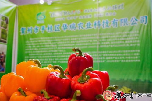 桂字号农业品牌西安推介会 广西初级农产品闪耀古城