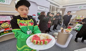 强化基础 质量链携手全国首家农业品牌创意体验港 共建农产品质量链