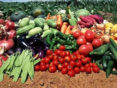 农业产品知多少 家禽家畜篇