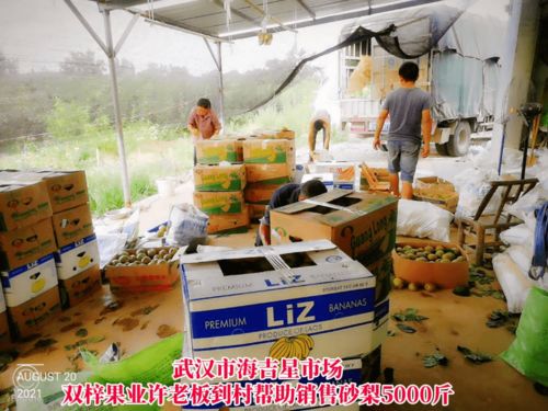 线上线下齐发力，石桥驿镇为滞销农产品打开新销路